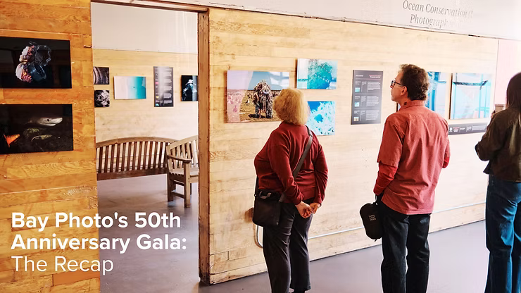 Bay Photo 50th Anniversary Gala