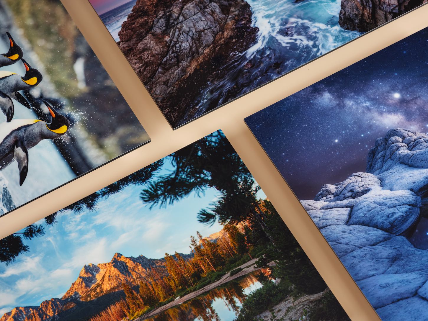Getting Started with Bay Photo