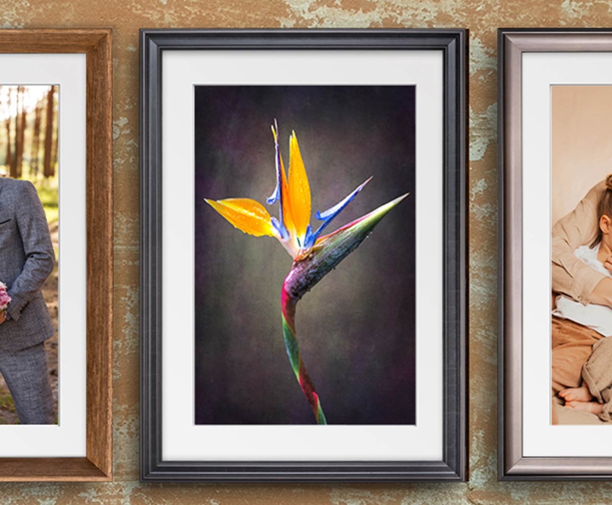 20% Off ALL Framed Prints