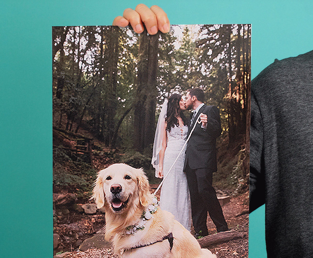 20% Off Large Size Prints