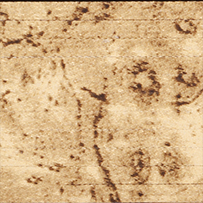 Marbled Gold Album Page Gilding