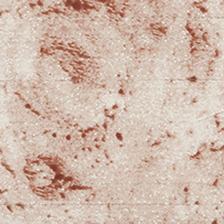 Marbled Silver Album Page Gilding