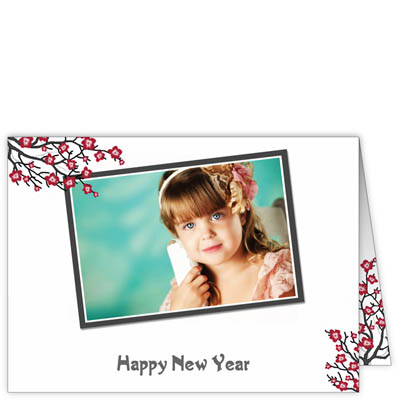 P162h In Bloom Card Design