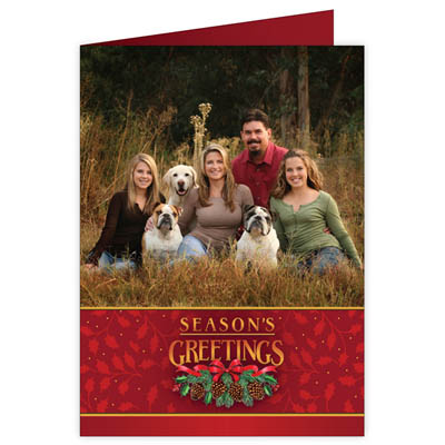 P180v Season's Greetings Holiday Card Design