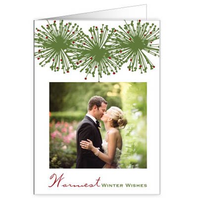 P188v Warmest Winter Wishes Holiday Card Design