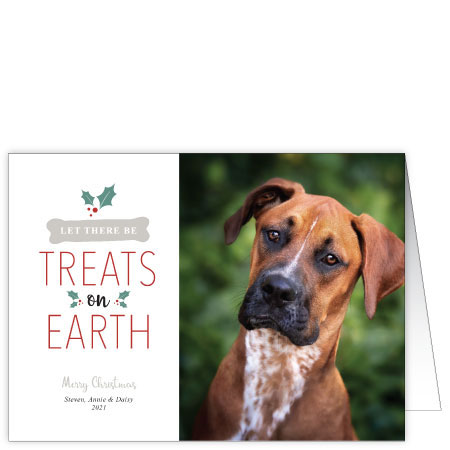 P602 Treats on Earth Holiday Card Design