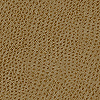 Ecoskin Birch Ostrich