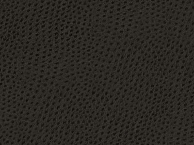 Ecoskin Charcoal Ostrich