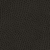 Ecoskin Charcoal Ostrich