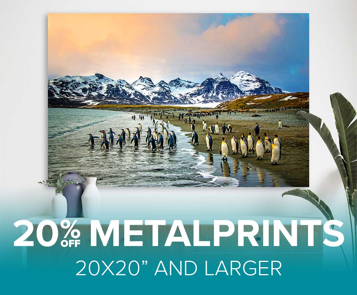 MetalPrints Size 20x20 and Larger