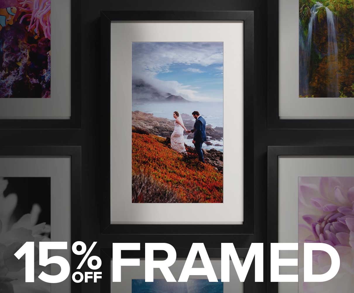 ALL Framed Prints