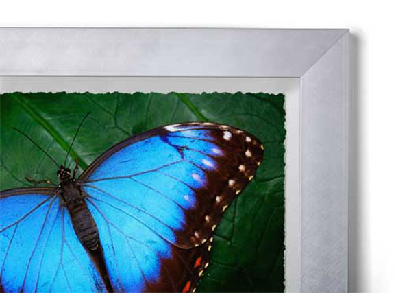 Silver Metal - Wide Frame