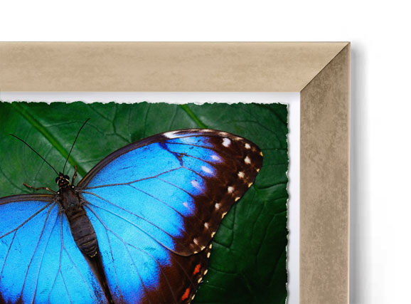 Soft Gold Tall Block Modern Frame