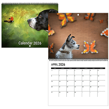 Monthly Calendar CM1