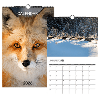 Monthly Calendar CM2