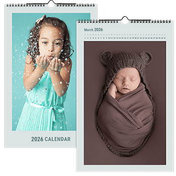 Monthly Calendar CM15