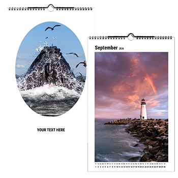 Monthly Calendar CM25