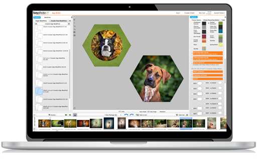 Bay Photo is the original ROES lab. Designed for the power user, Bay ROES is full of features and includes our complete catalog of products.