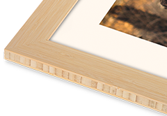 Bamboo Frames
