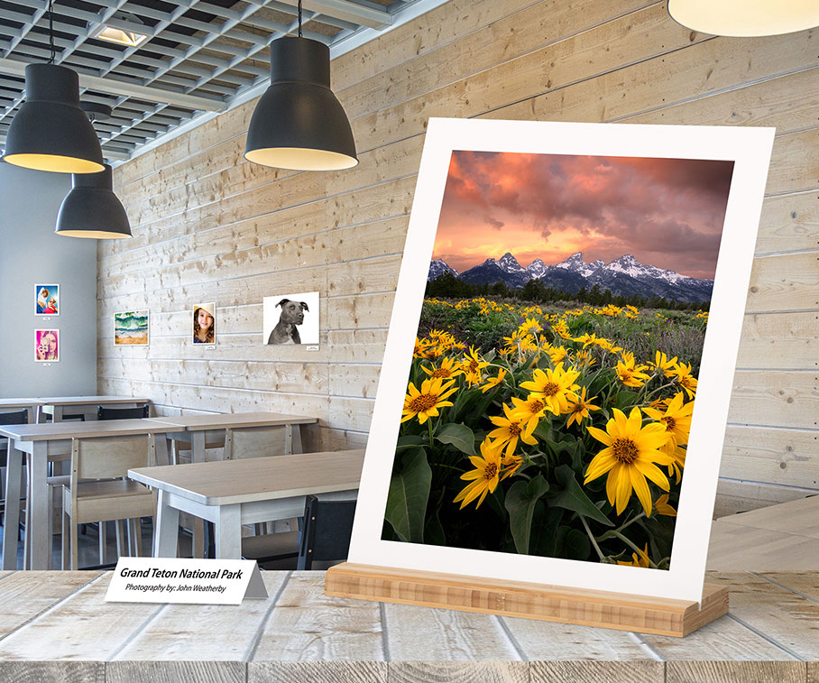 Fine Art Gallery Board Prints with Bamboo Stands