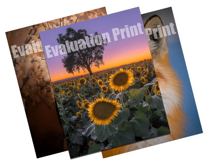 Order Evaluation Prints Online
