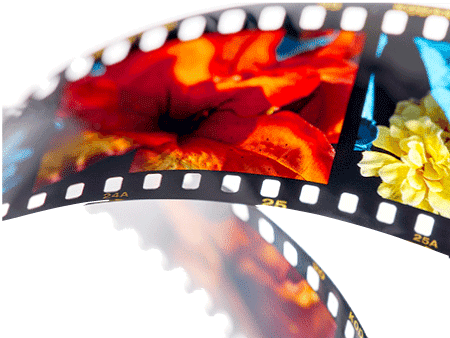 Order Canvas Prints Online