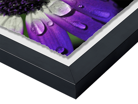 Framed Deckled Edge Fine Art Inkjet Prints