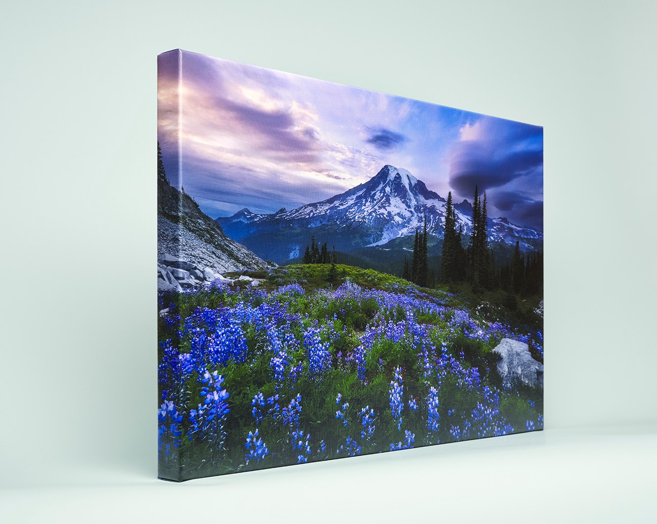 Canvas Prints