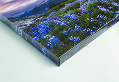 Canvas Gallery Wraps