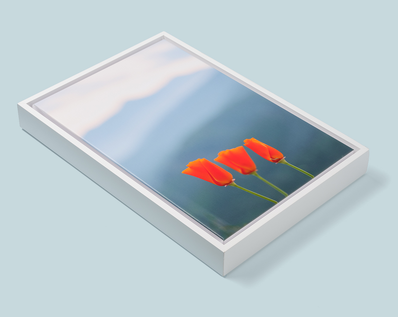 Framed Canvas