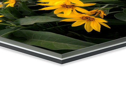 1/8-inch Acrylic with DiBond